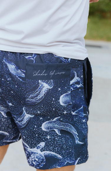 Midnight Marine Shorts